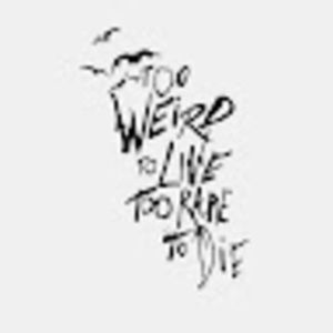 Meet your Posher, Jilly